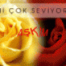 madaremse