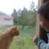 595ssezgin