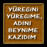 ysf_cn_dqn12