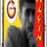 cicilerini46