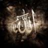 turkuwaz55