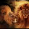 ferhun