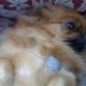 daisy_