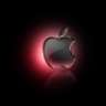 woysi
