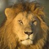 faruk_03