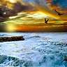 illeqal_king