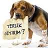 atakan_abi