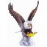 611-eagle