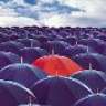 muratovsky