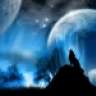 alp_eren5