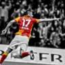 pitbull_07