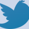 Twitter Kuşu