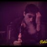 Wolf389