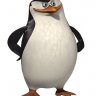 seckin_bilgic