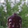 jhanluke