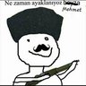 MemoMimo