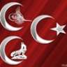 yıldız91