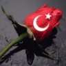 reis401