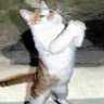 azrail_ali13