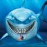 shark12