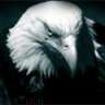 kartal1000