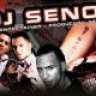 DJ Senol