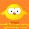 tolgahan123
