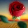 henes_42