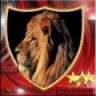bozkurt__2323