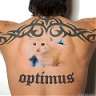optimus