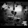 Zeynepp_54