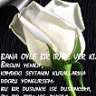 tamer2127