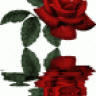 m.tohan