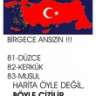 gazili40
