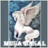 musa_unsal2005