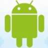 eray_41