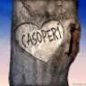 casoper1