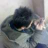 Fondiq
