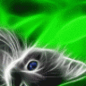 haso_dead