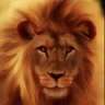 lione74