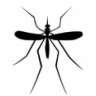 Mr.MosQuiTo