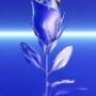 Almula