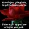 aliöğretmen38