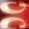 bebegim7777