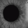 GHOST_O.R.J