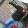 pokito