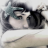 yüsr@_1907