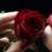 faruk83