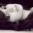 esra_b