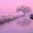 Pink*